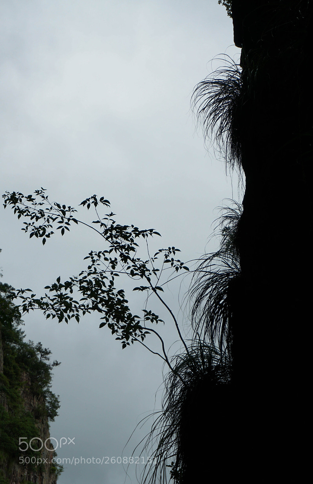 Sony a6000 sample photo. Chinese style photography