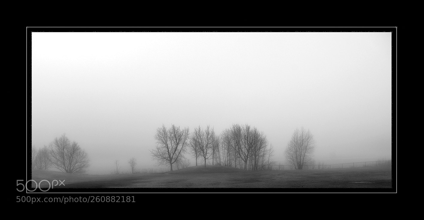 Nikon D3400 sample photo. Silent morning photography