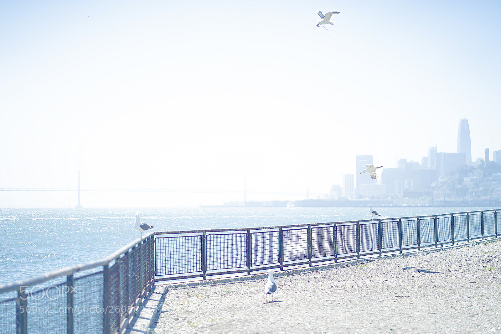 Sony a7 III sample photo. Sunny day photography