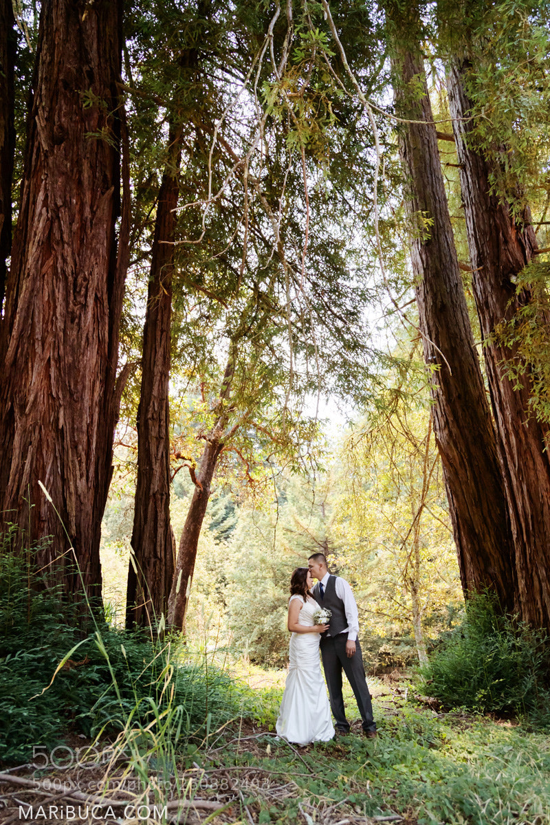 Canon EOS-1D X Mark II sample photo. Wedding & event photos, california photography