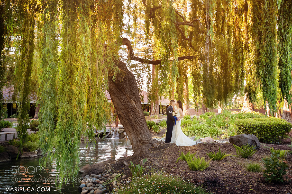 Canon EOS-1D X Mark II sample photo. Wedding & event photos, california photography