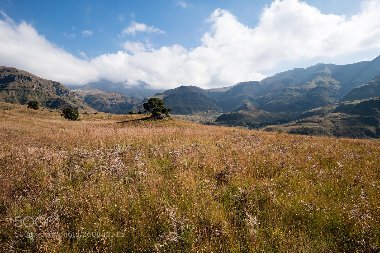 Sony a7R III sample photo. Monk's cowl, central drakensberg photography