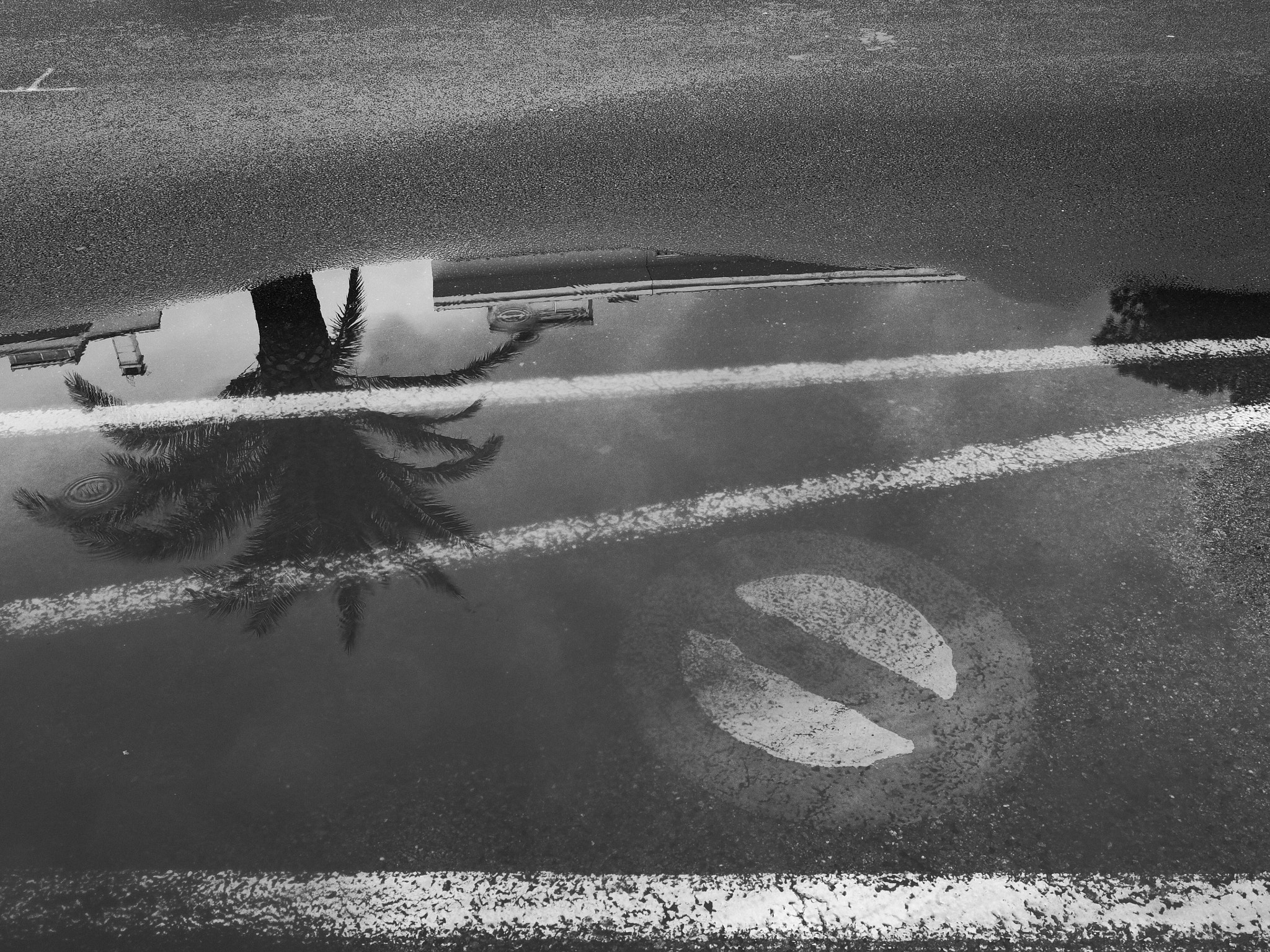Ricoh GR II sample photo. Reflection photography