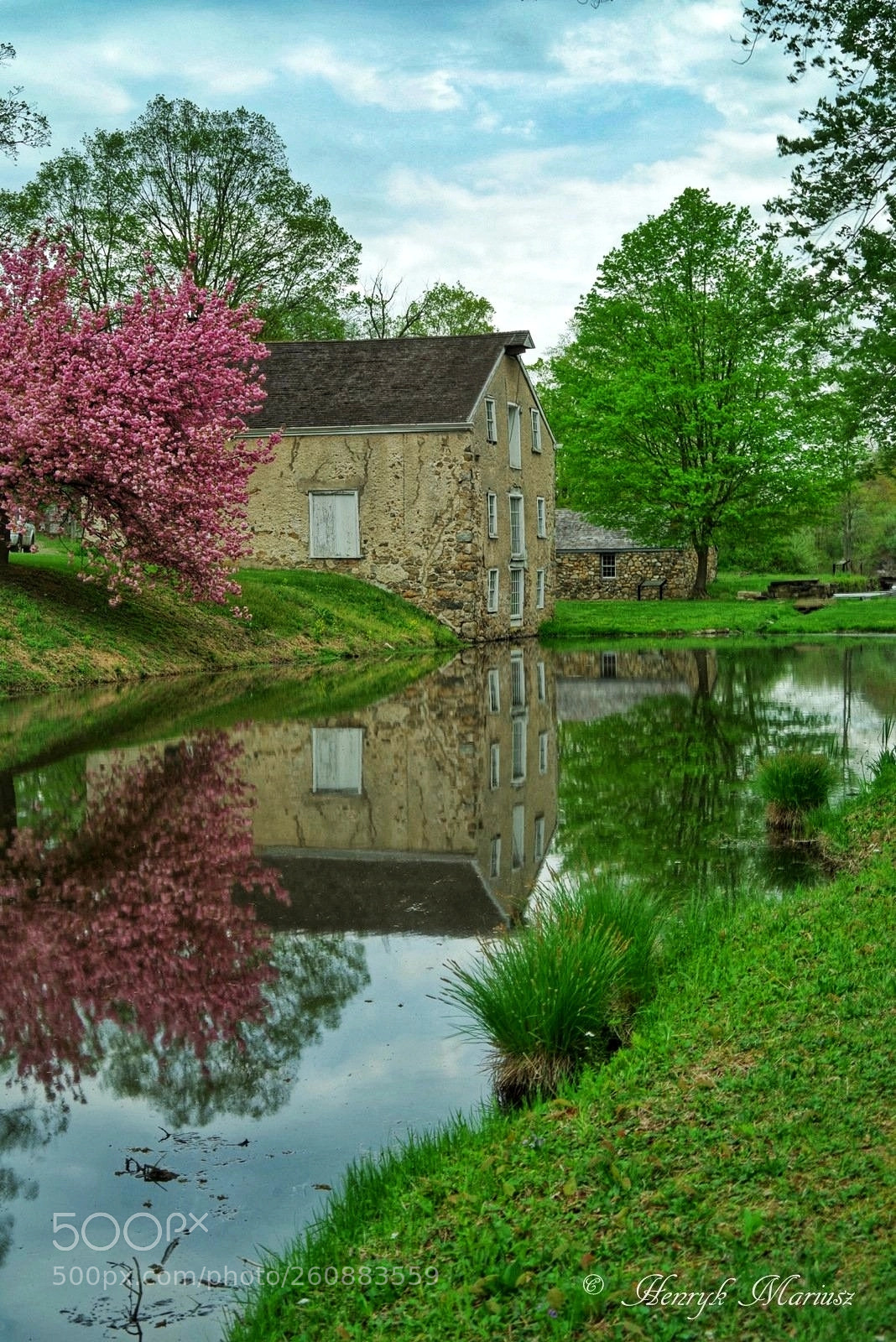 Pentax K-1 sample photo. Spring reflection. photography