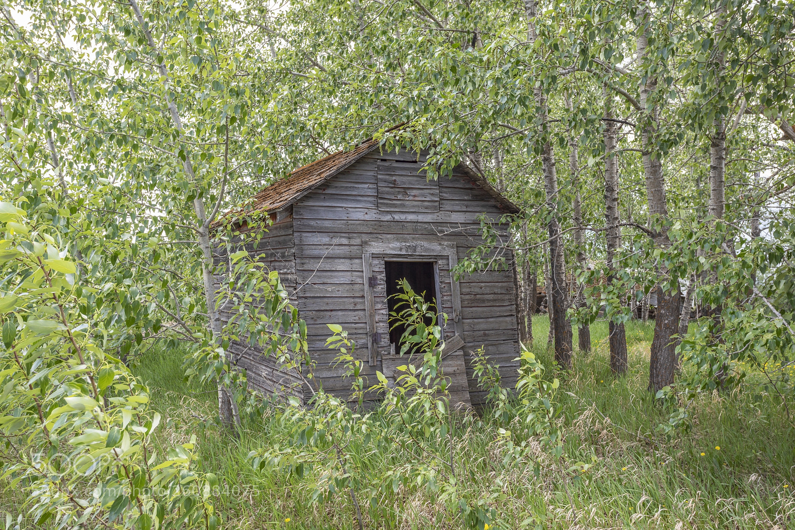 Canon EOS 5D Mark IV sample photo. Vintage buildings photography