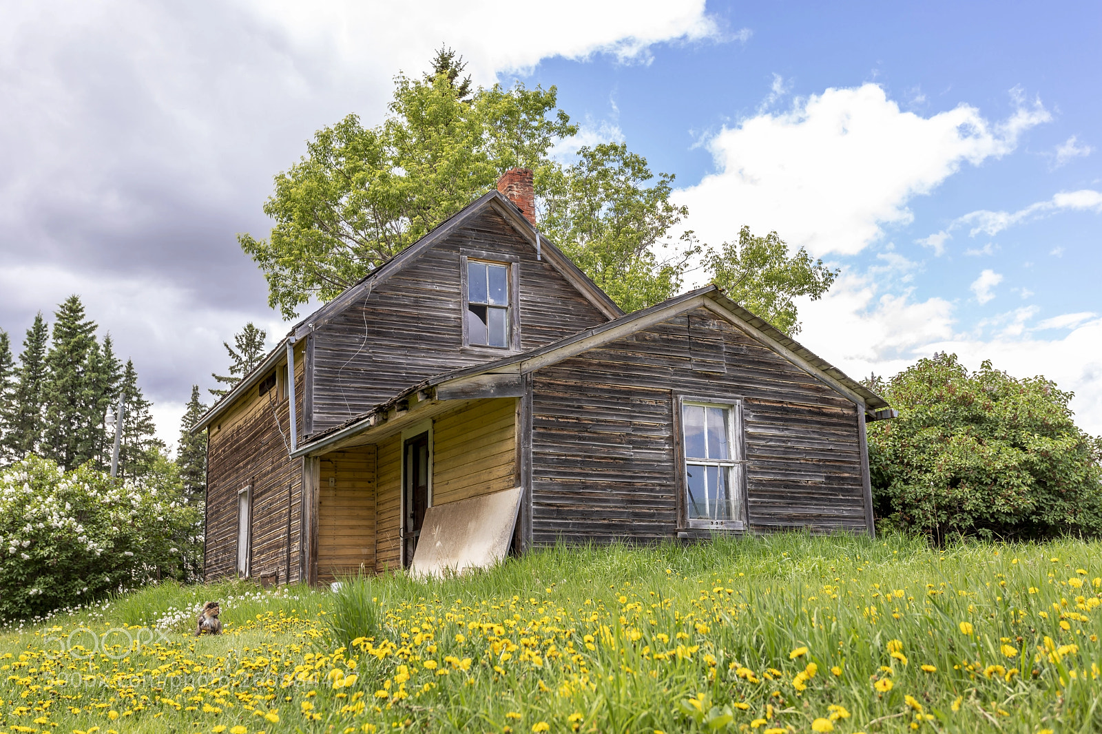 Canon EOS 5D Mark IV sample photo. Vintage buildings photography