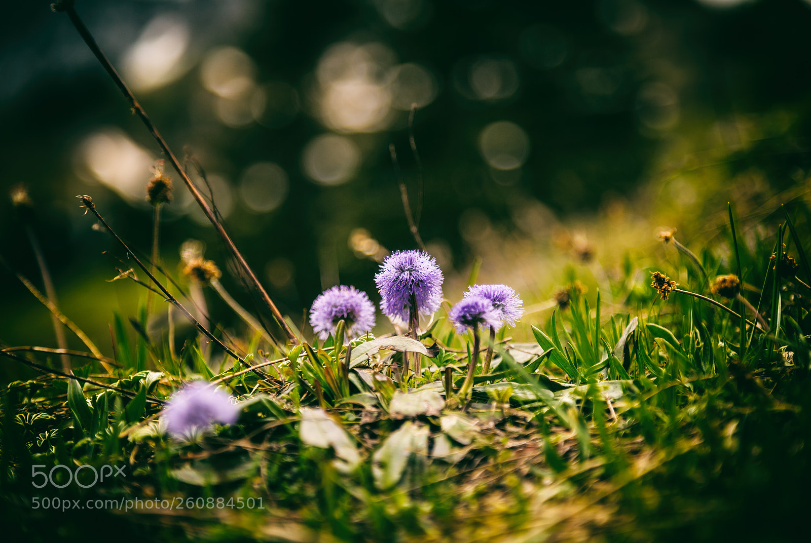 Canon EOS 6D sample photo. Hiking captures photography