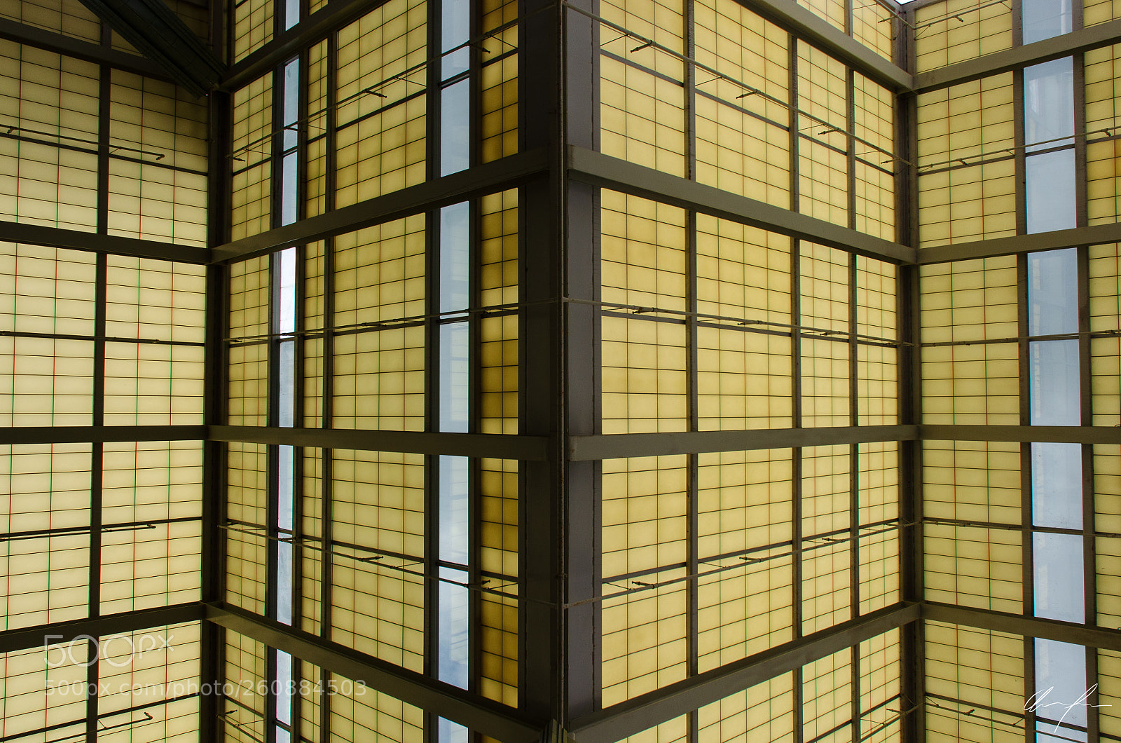 Nikon D5100 sample photo. W photography