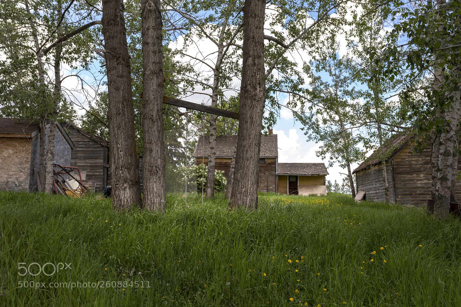 Canon EOS 5D Mark IV sample photo. Vintage buildings photography