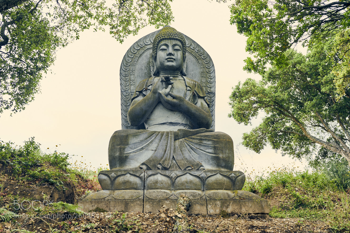 Sony a7R sample photo. Moment of zen photography