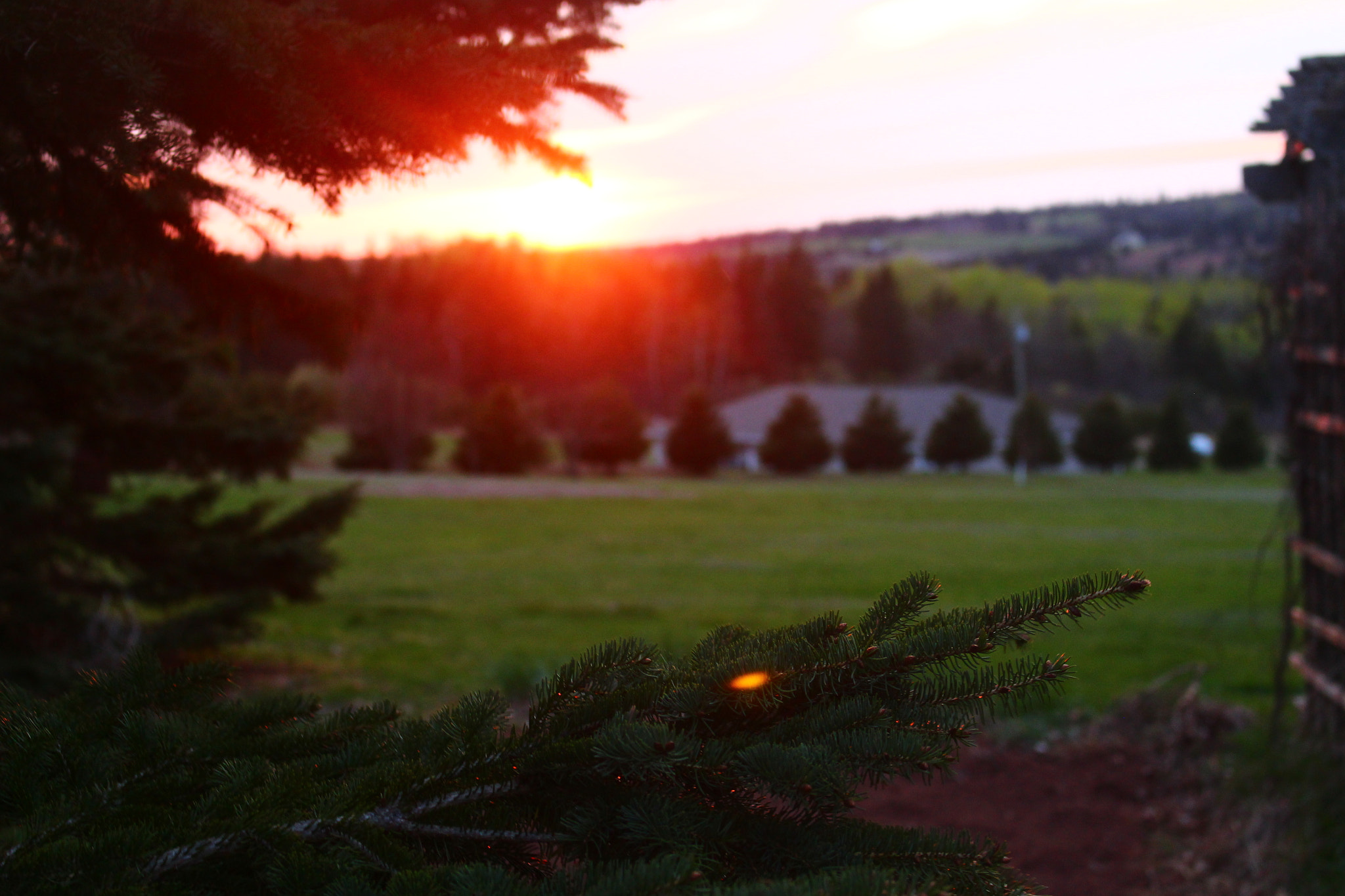 Canon EOS 100D (EOS Rebel SL1 / EOS Kiss X7) sample photo. Red hot sky photography