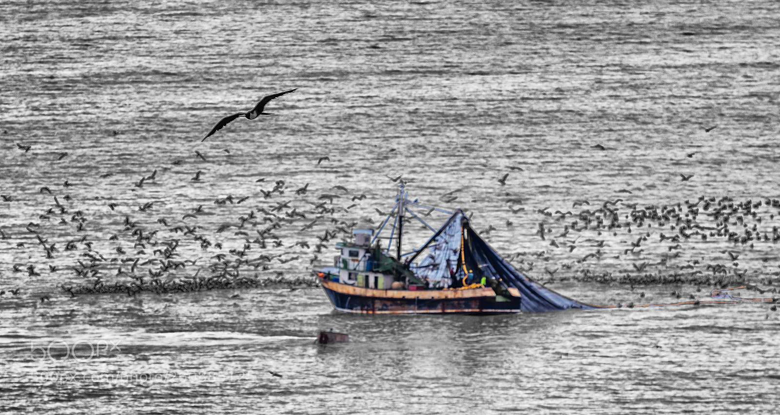 Canon EOS 5DS R sample photo. Fishing photography