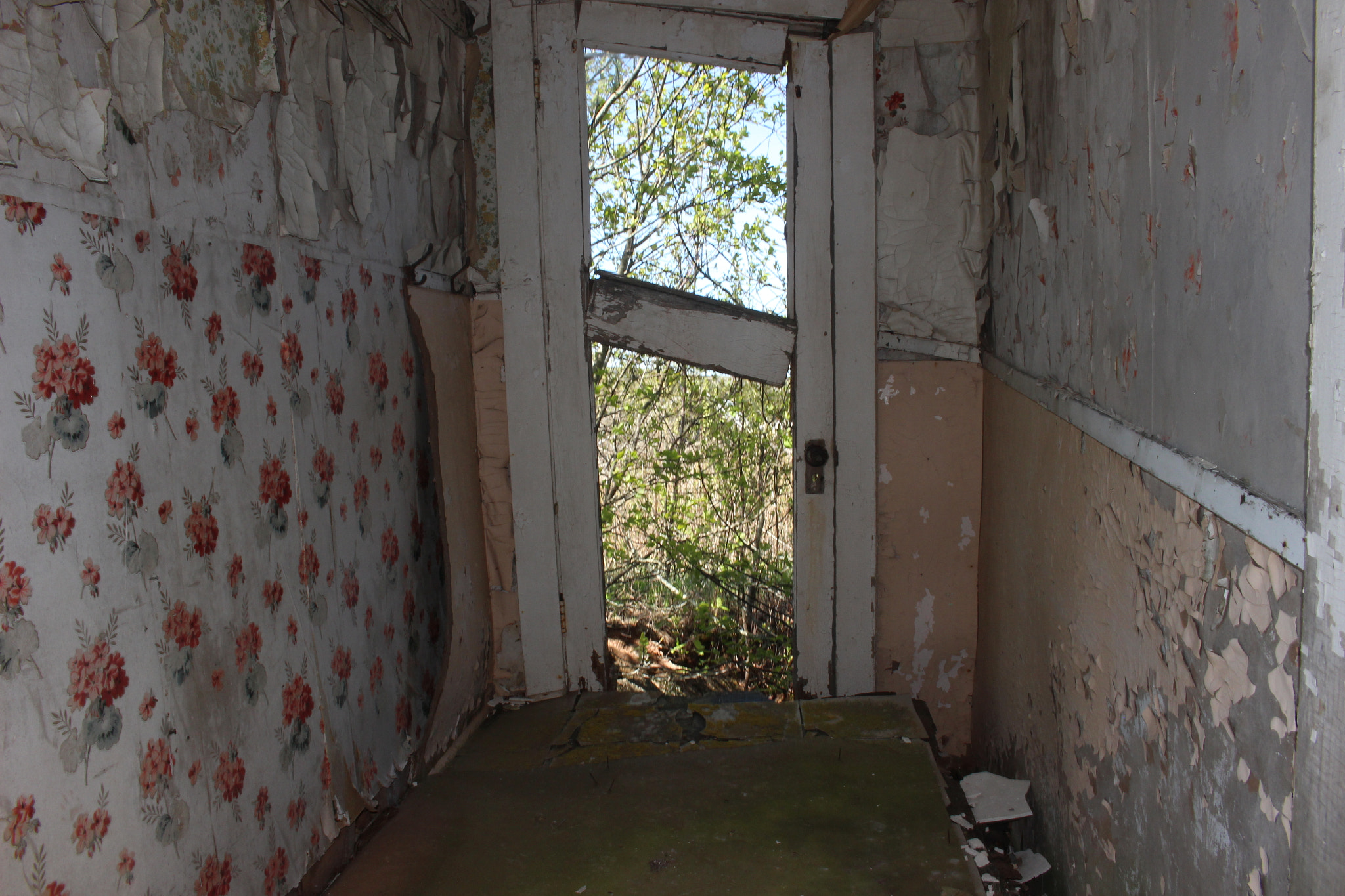 Canon EOS 100D (EOS Rebel SL1 / EOS Kiss X7) sample photo. Decaying photography