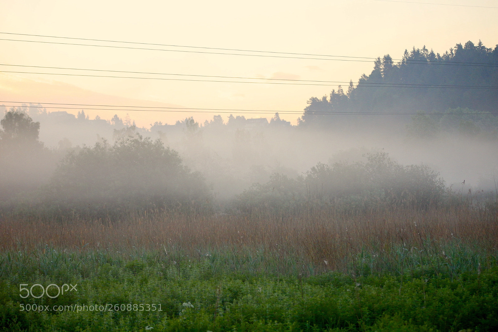 Canon EOS 6D sample photo. Untitled photography