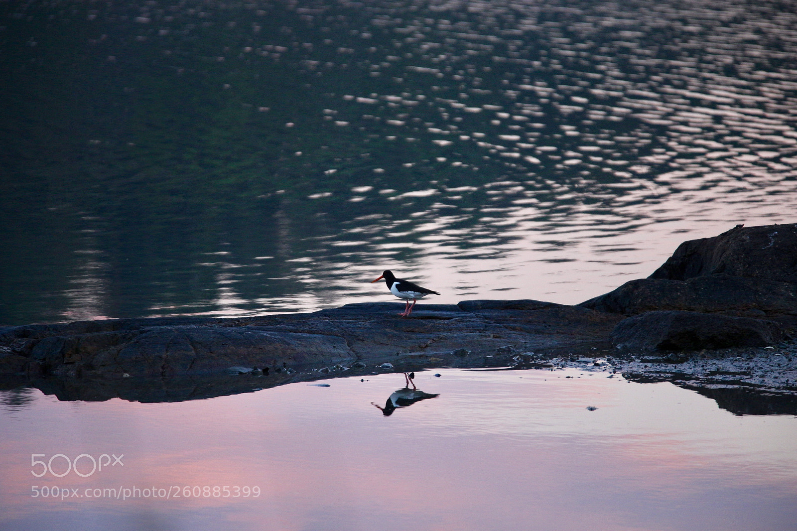 Canon EOS 6D sample photo. Untitled photography