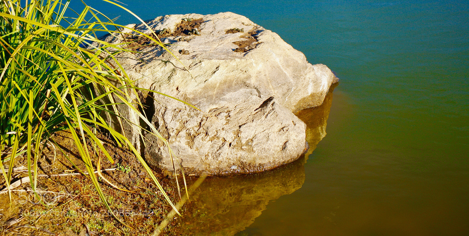 Canon EOS 1000D (EOS Digital Rebel XS / EOS Kiss F) sample photo. The rock by the photography