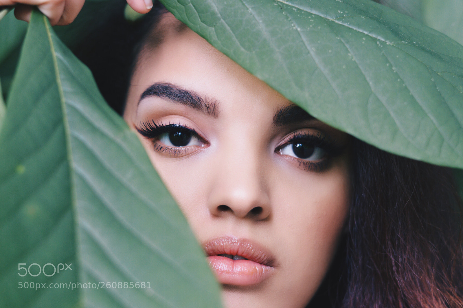 Nikon D3200 sample photo. She from the jungle photography