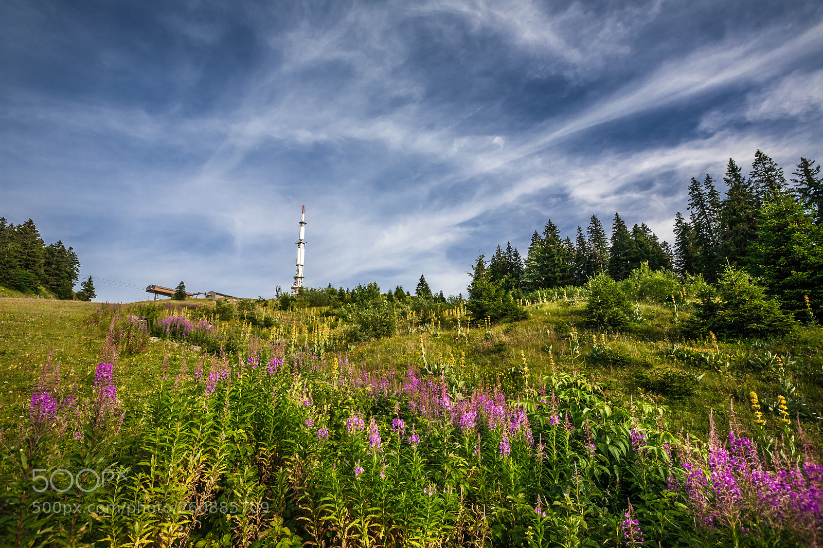 Canon EOS 5D sample photo. Petit mont rond photography