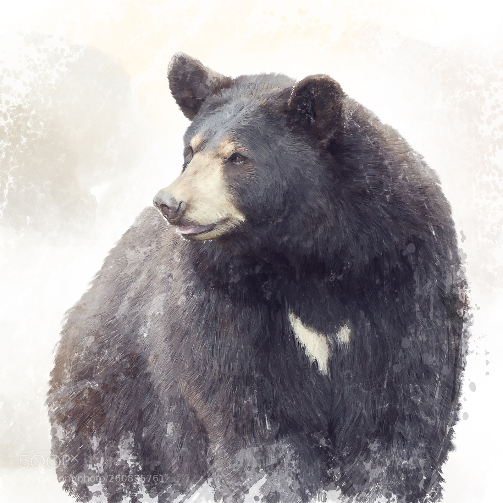 Nikon D800 sample photo. Black bear watercolor photography