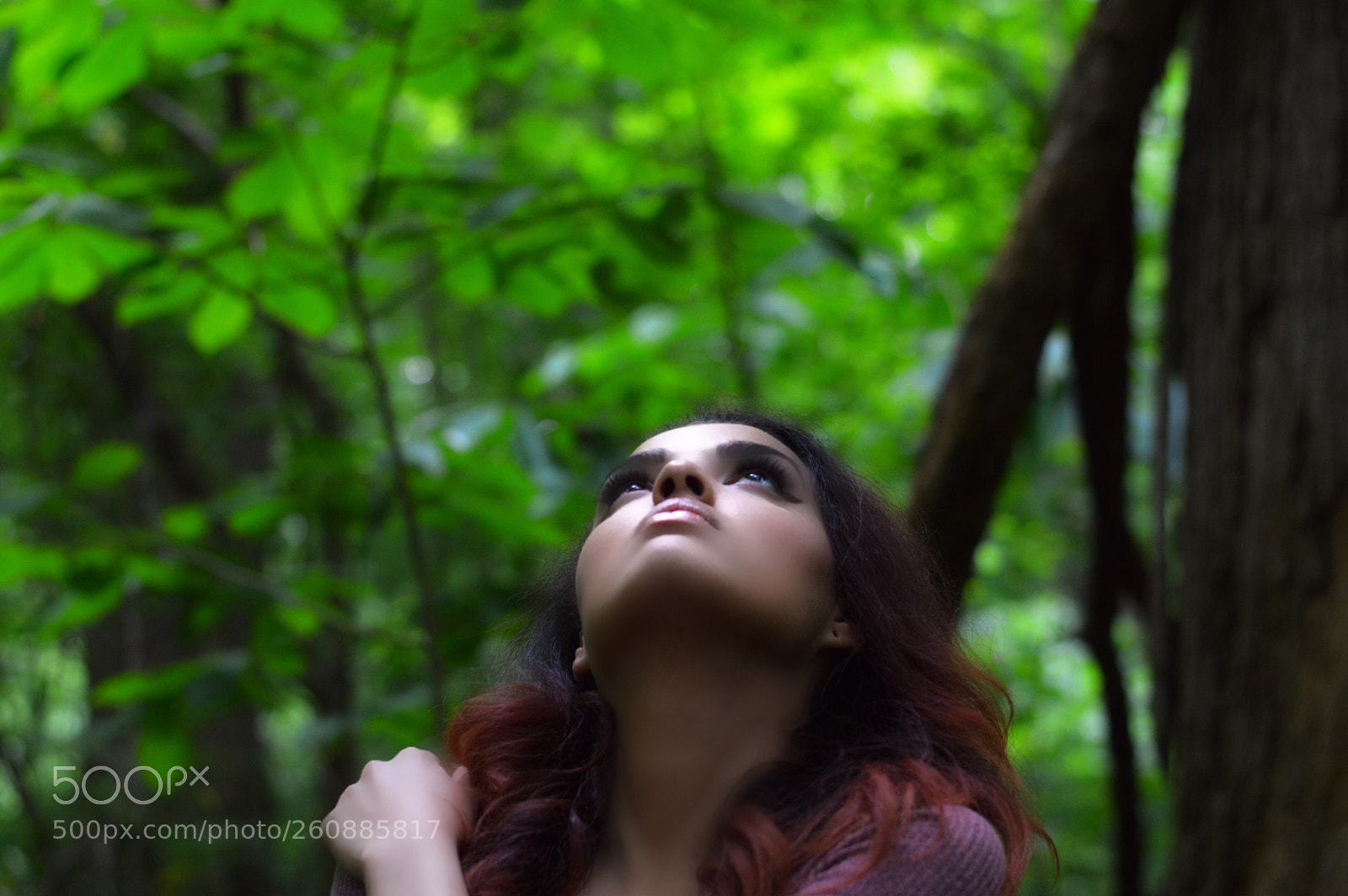 Nikon D3200 sample photo. Jungle pt2 photography