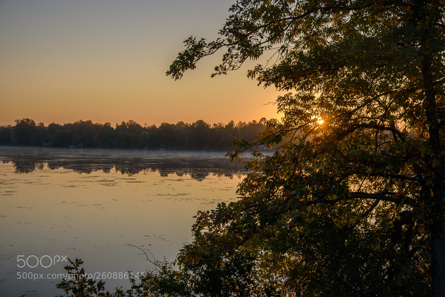 Nikon D750 sample photo. Early fall morning photography