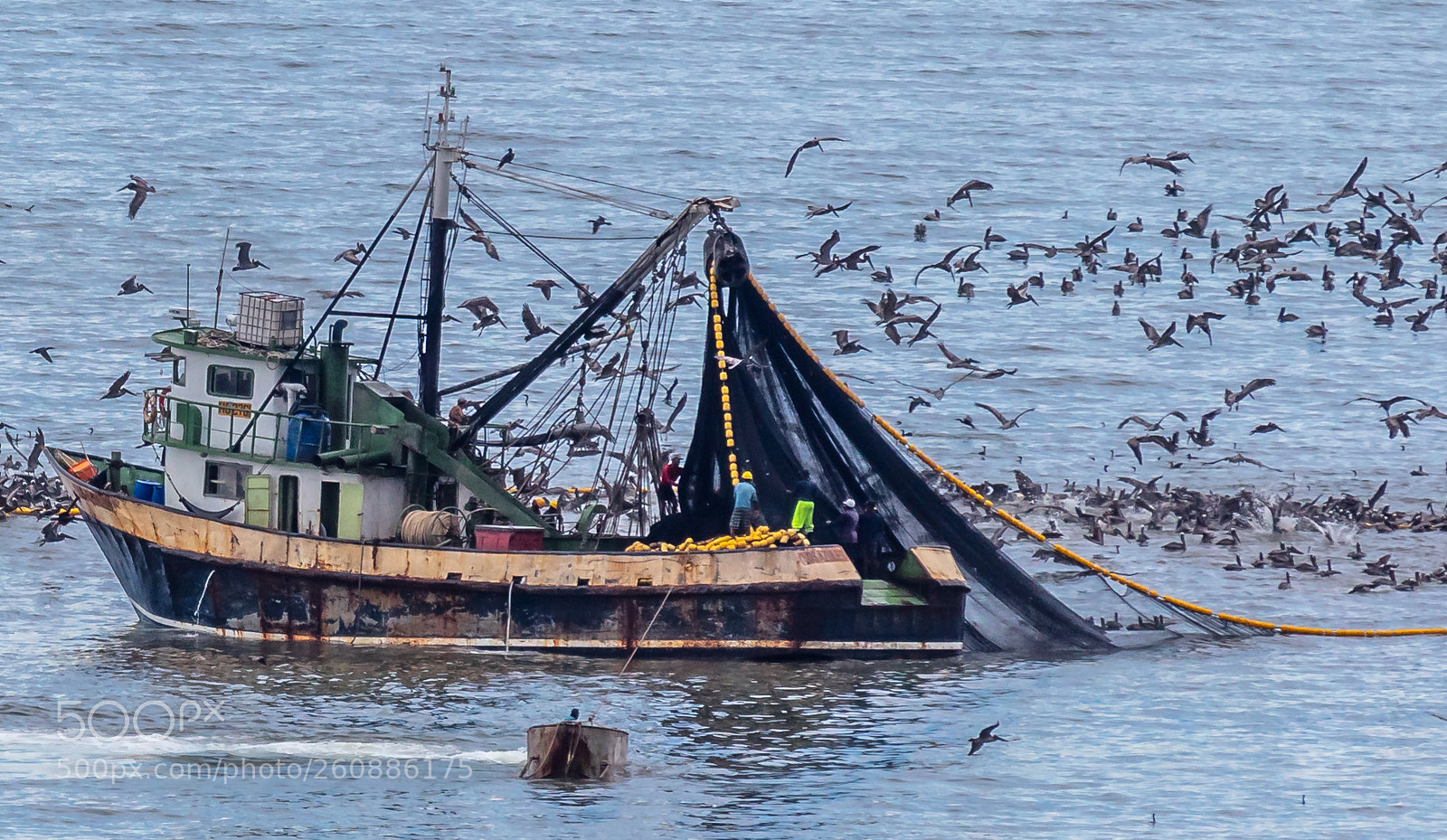 Canon EOS 5DS R sample photo. Fishing 2 photography