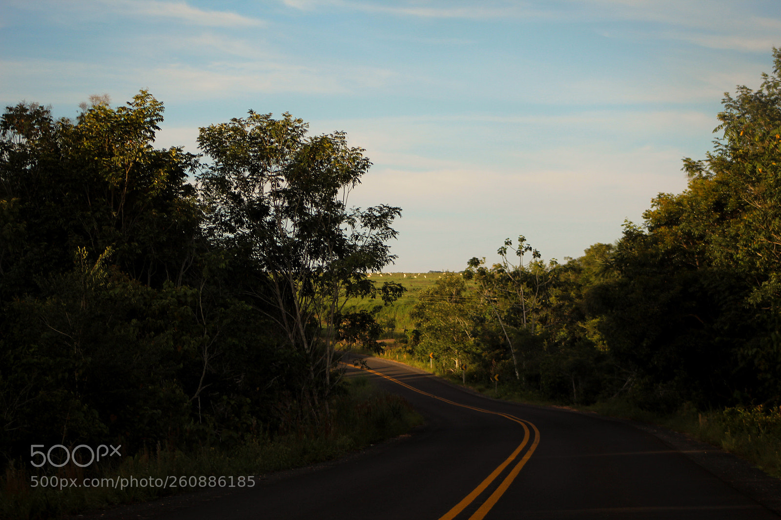 Canon EOS 1300D (EOS Rebel T6 / EOS Kiss X80) sample photo. A road to somewhere photography