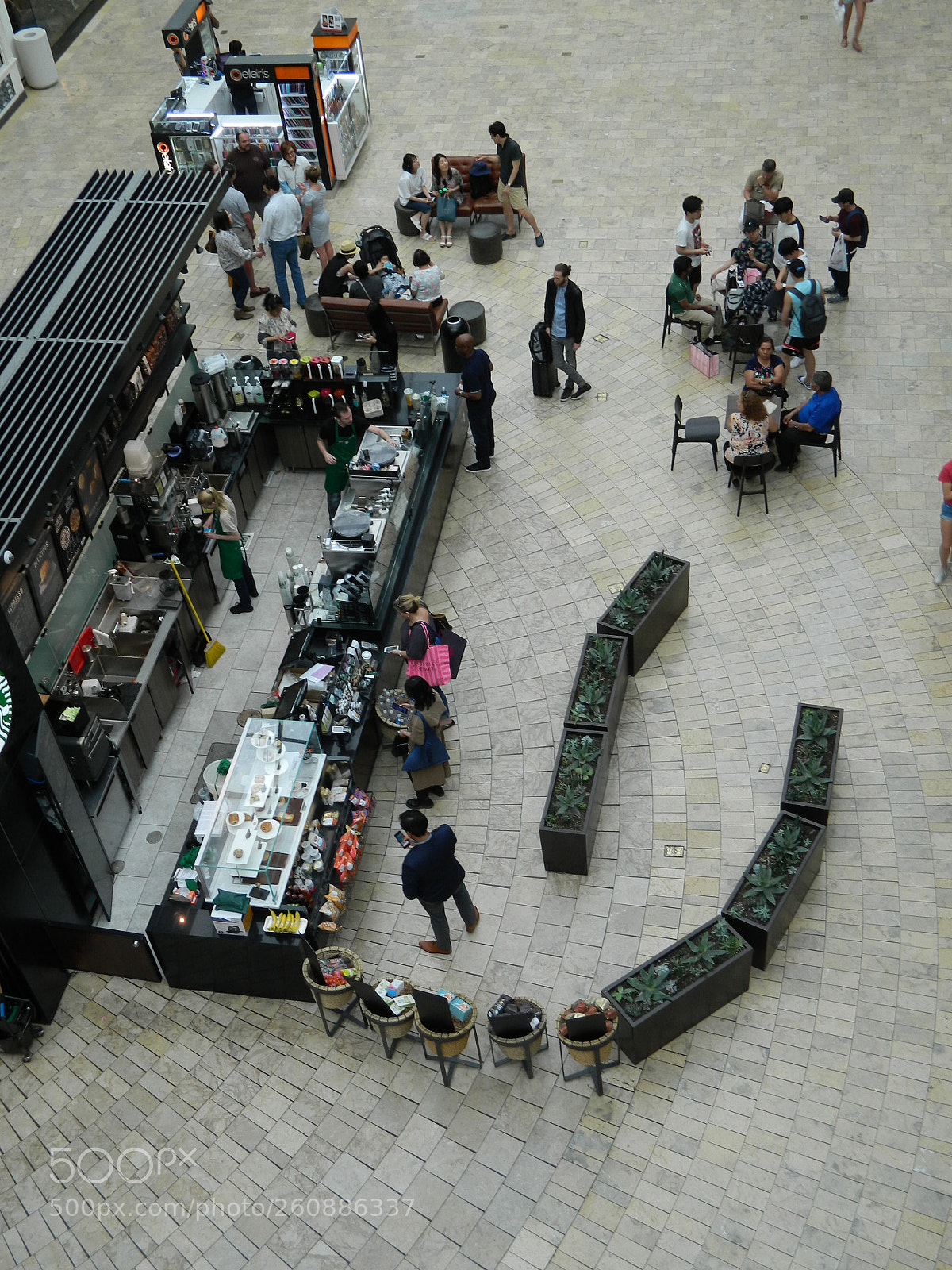 Nikon Coolpix L120 sample photo. Coffee from above photography