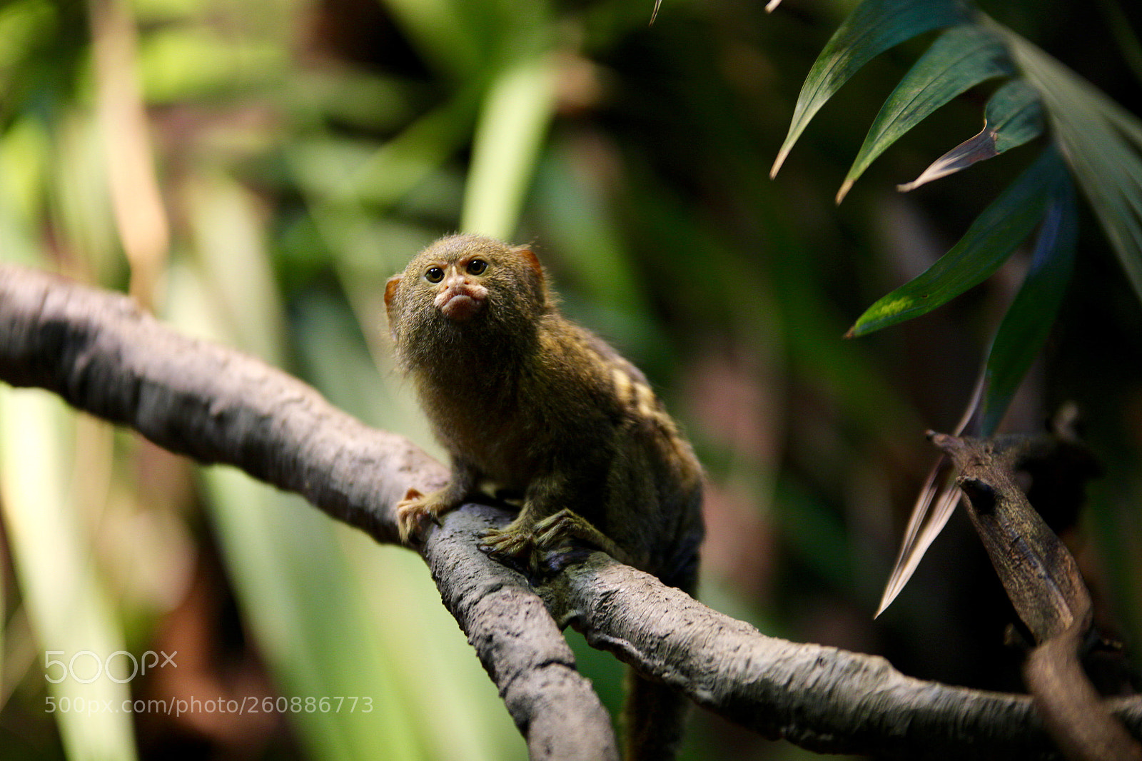 Canon EOS 6D sample photo. Untitled photography