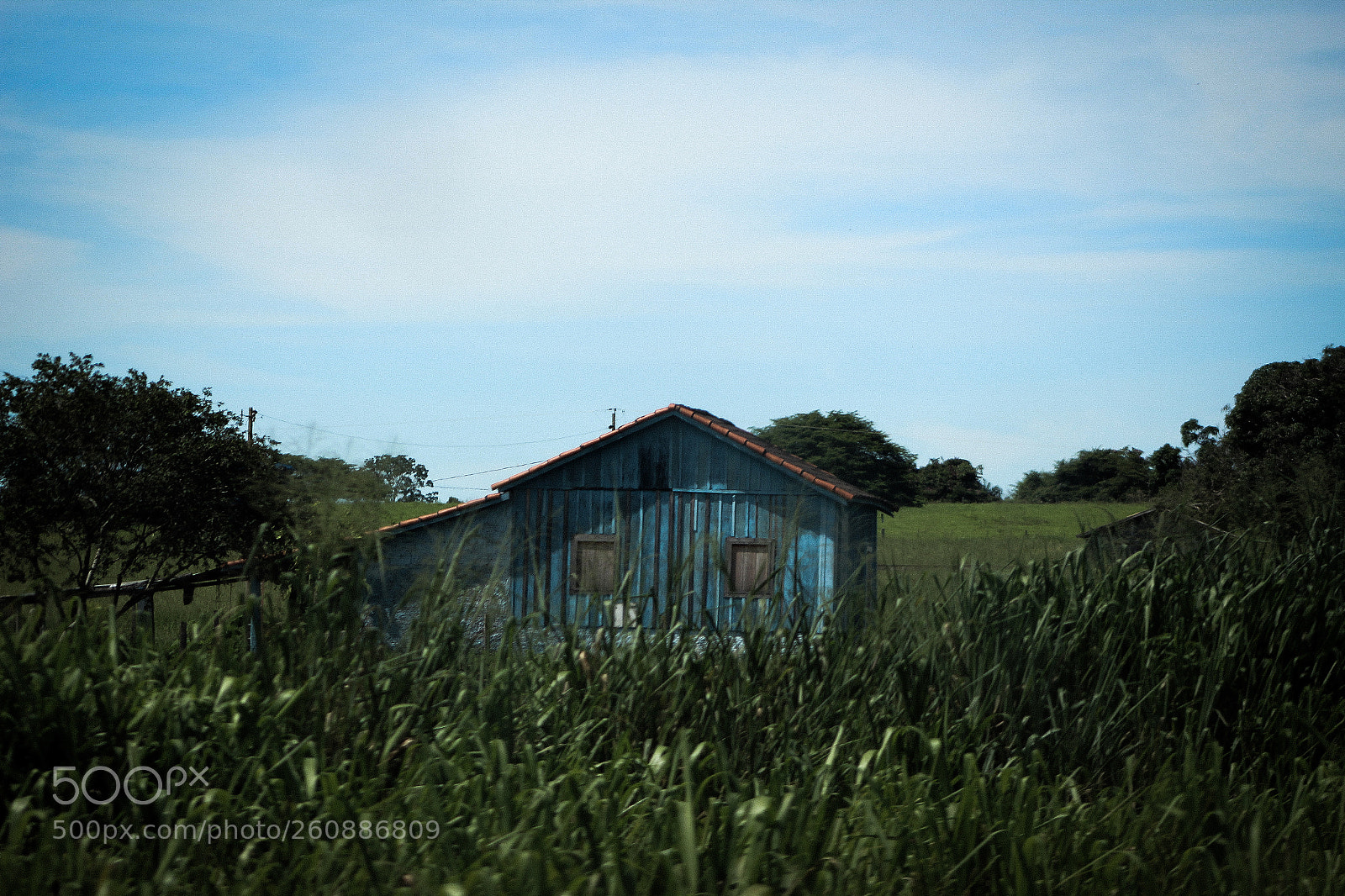 Canon EOS 1300D (EOS Rebel T6 / EOS Kiss X80) sample photo. A hide house in photography