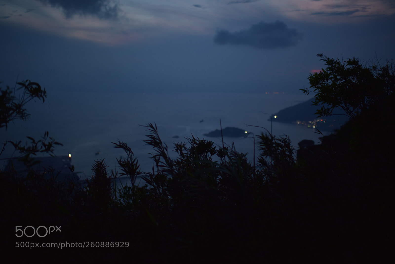 Nikon D810 sample photo. Untitled photography