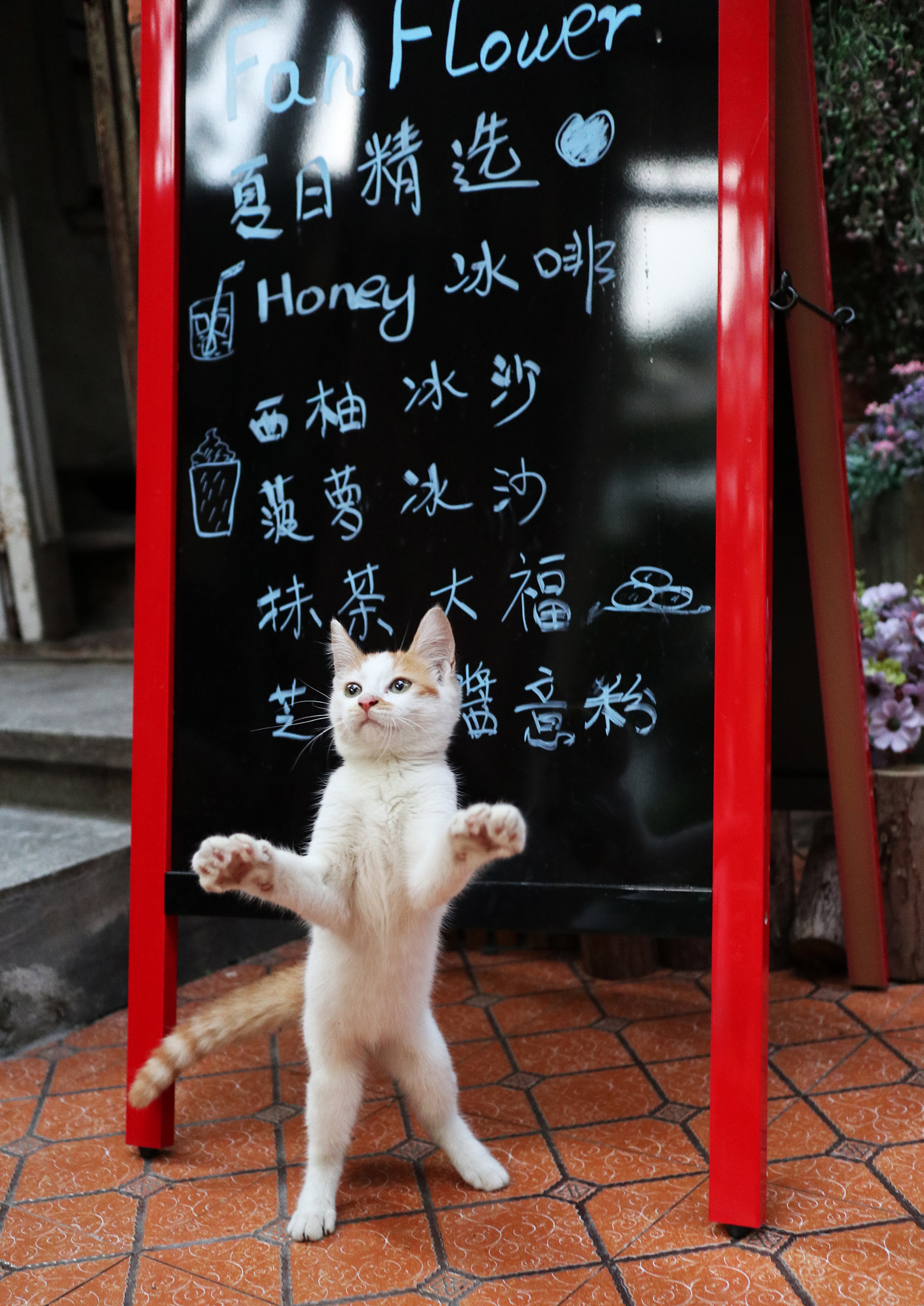 Canon EOS M100 sample photo. Img photography