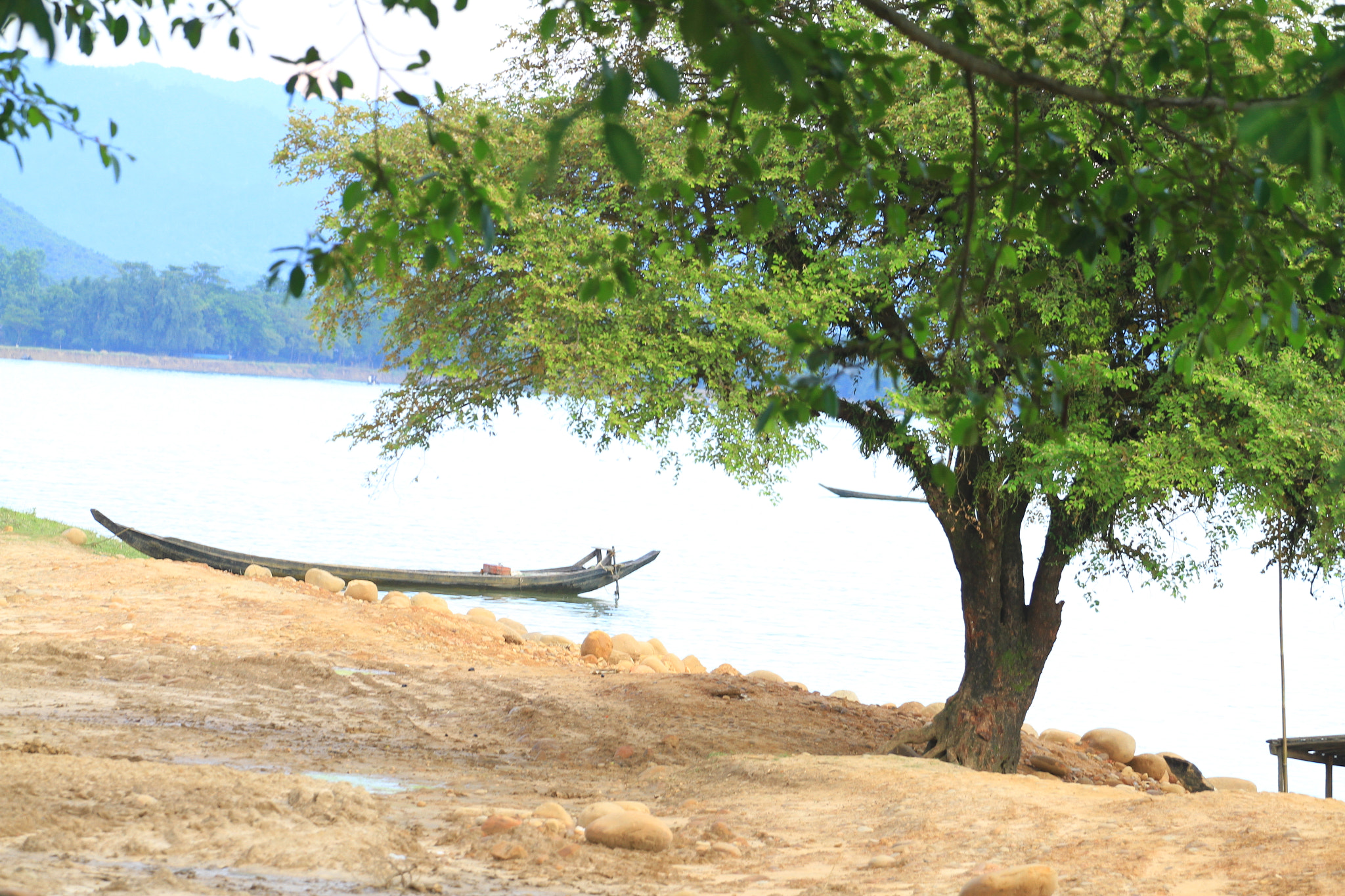 Canon EOS 7D + Canon EF 70-200mm F4L USM sample photo. Img photography