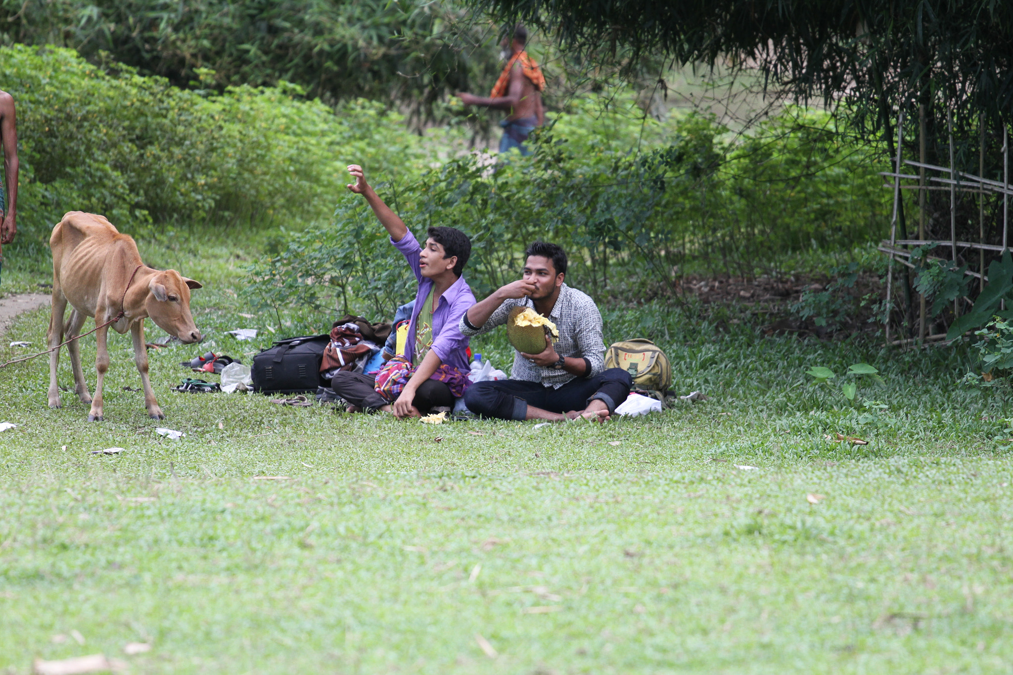 Canon EOS 7D + Canon EF 70-200mm F4L USM sample photo. Img photography