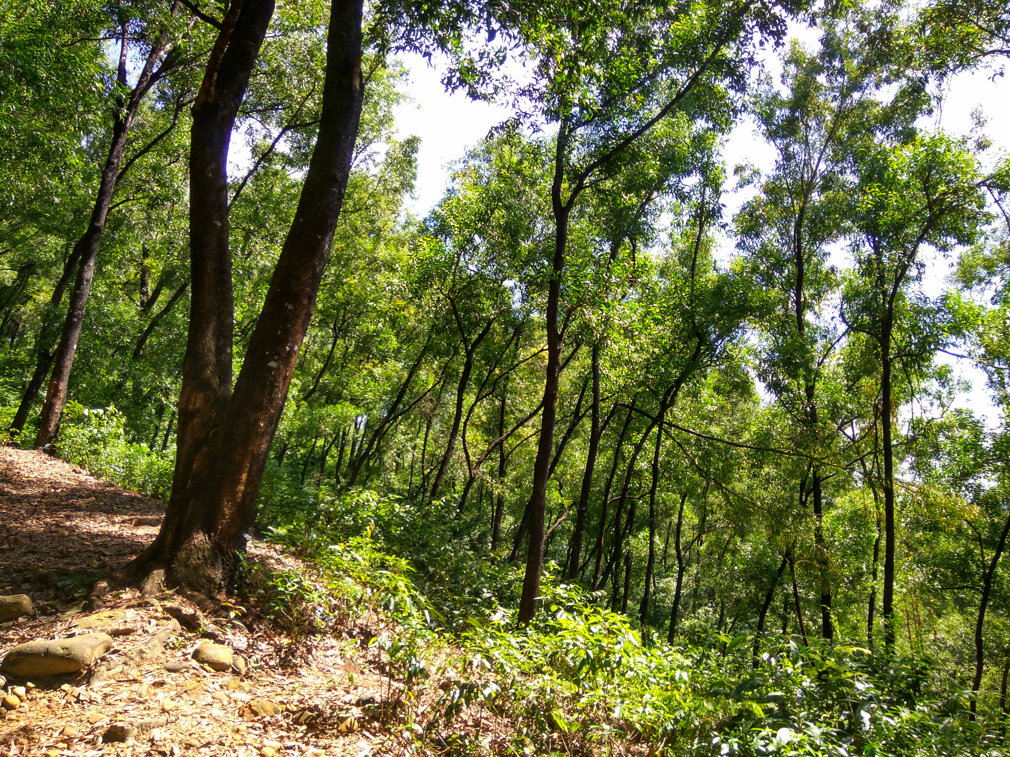 Xiaomi Redmi Note 3 sample photo. Hdr photography