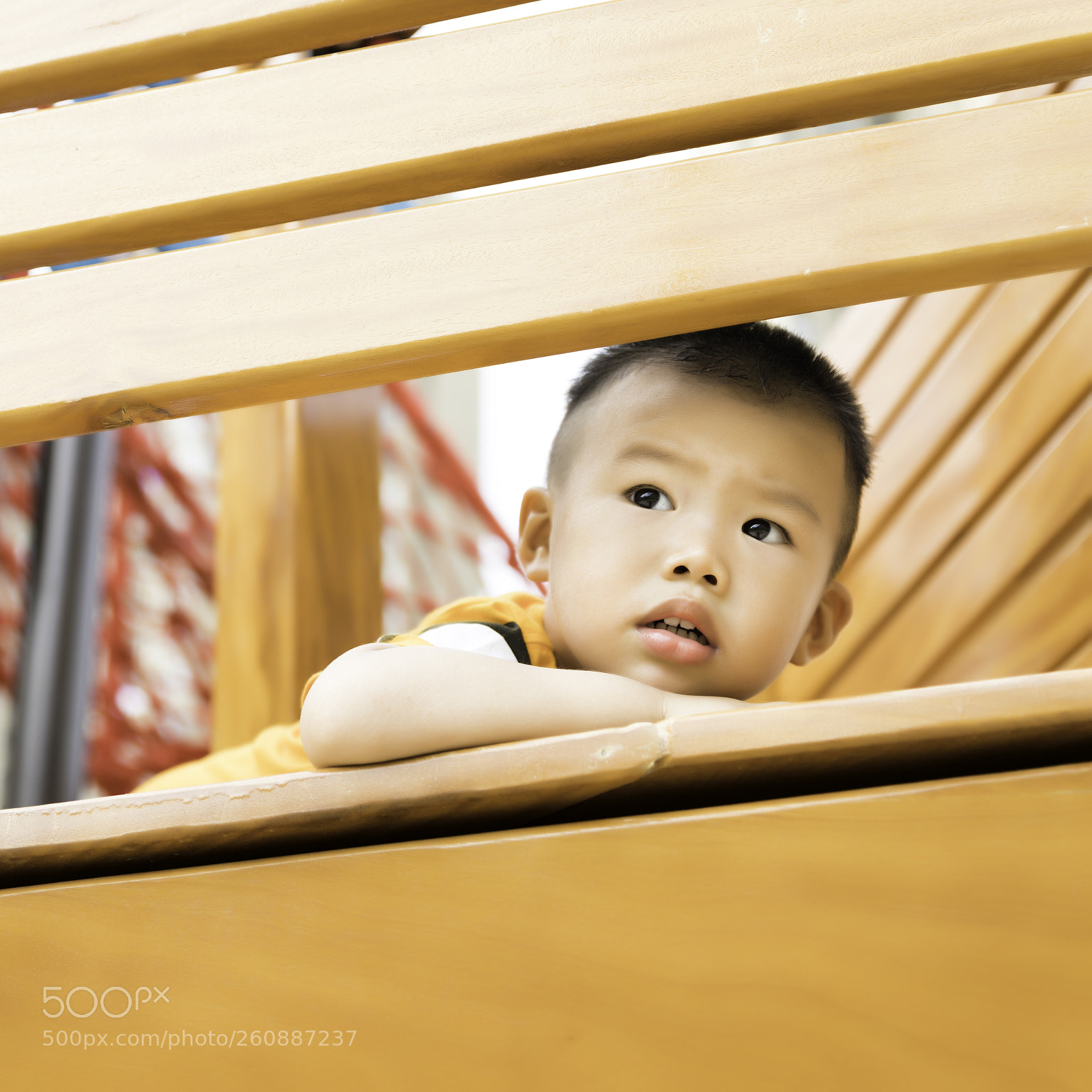 Canon EOS 5D Mark IV sample photo. Untitled photography