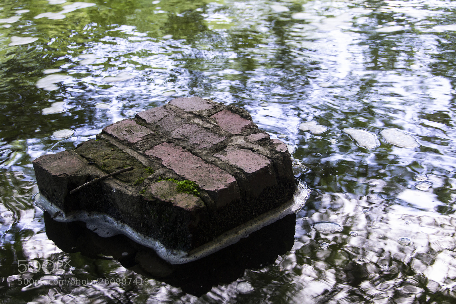 Nikon D3100 sample photo. Bridge photography