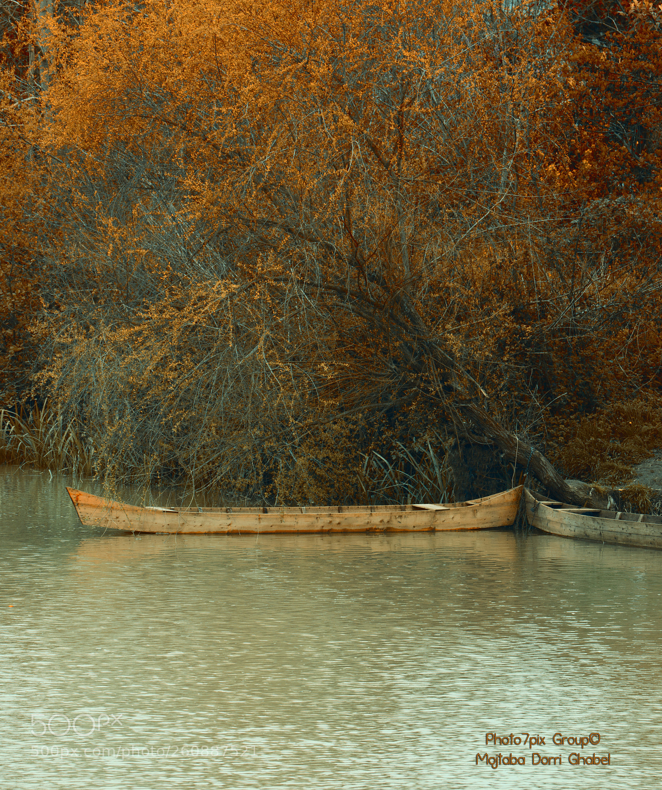 Canon EOS 70D sample photo. Lake photography