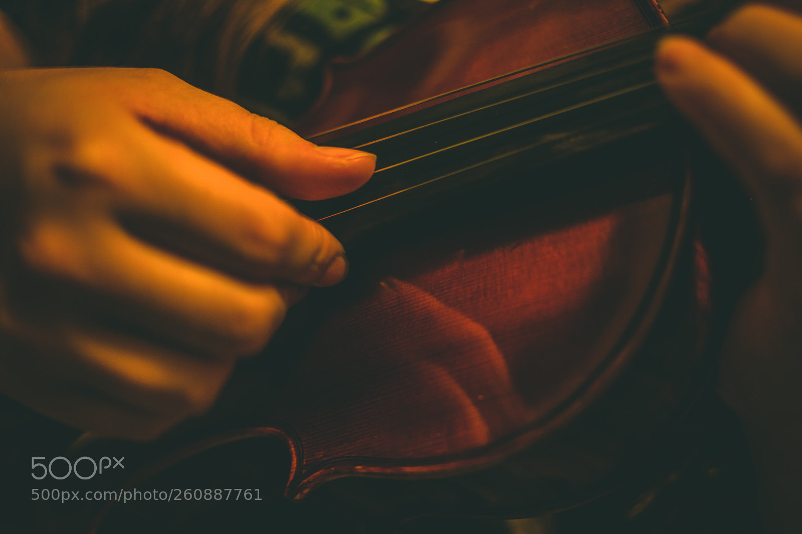 Nikon D3400 sample photo. Strings  photography