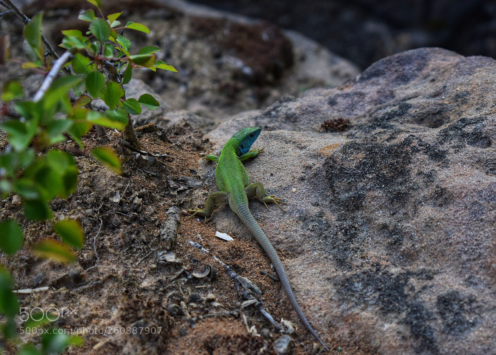 Nikon D3300 sample photo. Untitled photography
