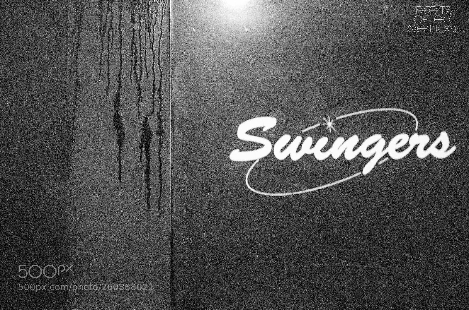 Nikon D7000 sample photo. Swingers photography