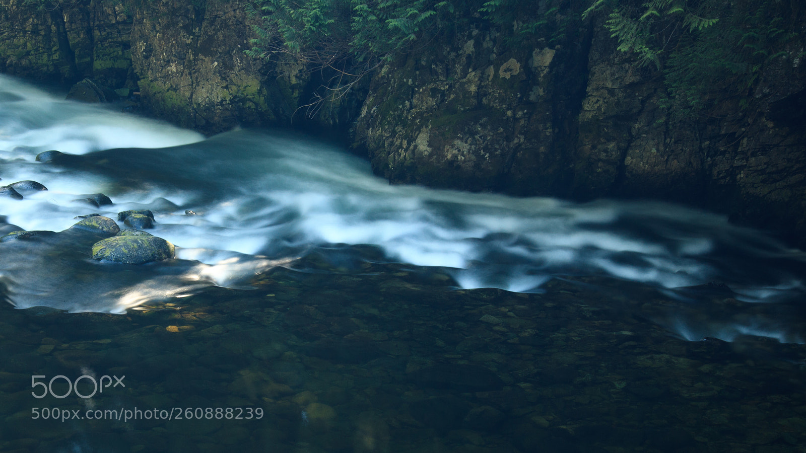 Canon EOS 5D Mark II sample photo. Capilano river photography