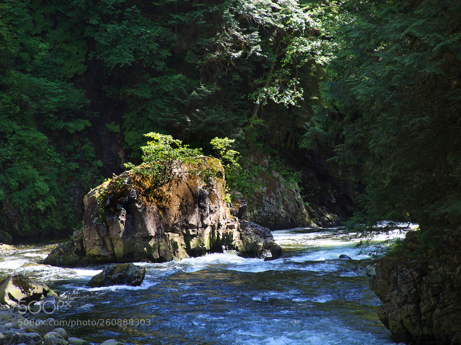 Canon EOS 5D Mark II sample photo. Capilano river photography