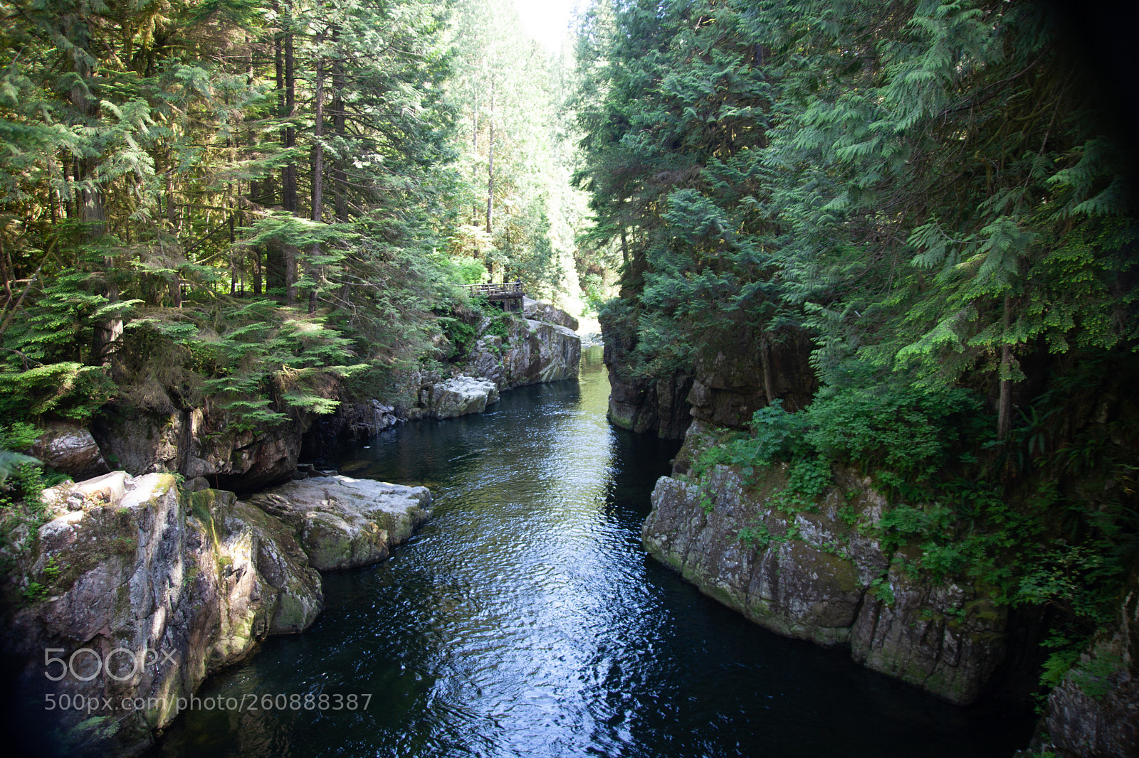 Canon EOS 5D Mark II sample photo. Capilano river photography