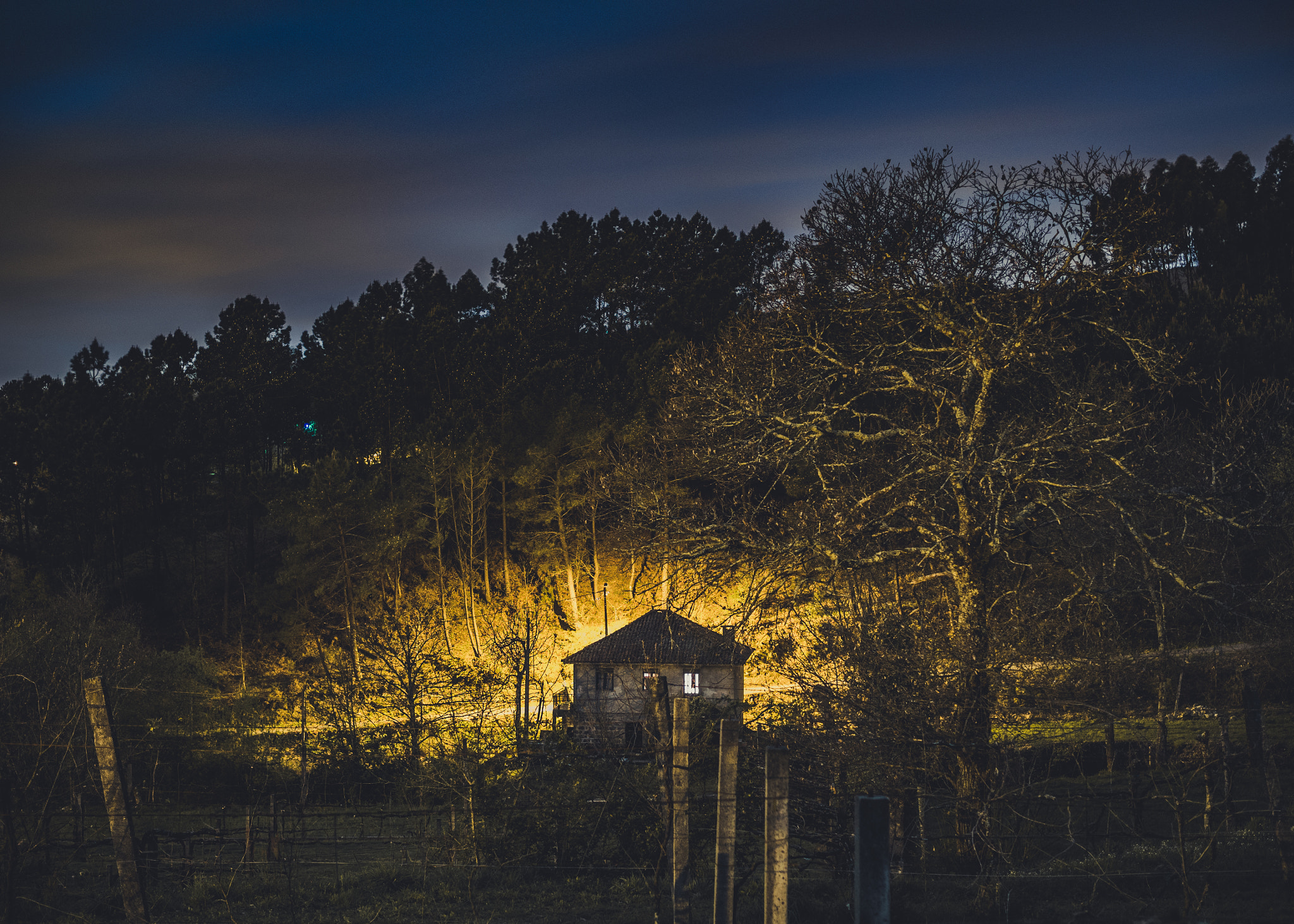Olympus OM-D E-M10 III sample photo. Lonely house version 2. photography