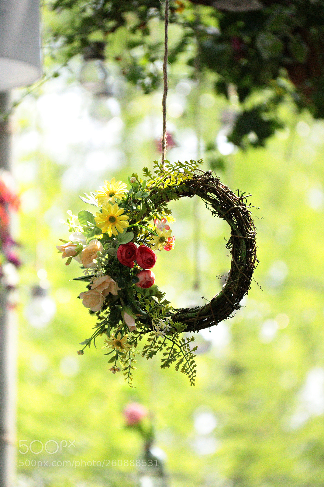Canon EOS 750D (EOS Rebel T6i / EOS Kiss X8i) sample photo. Img photography