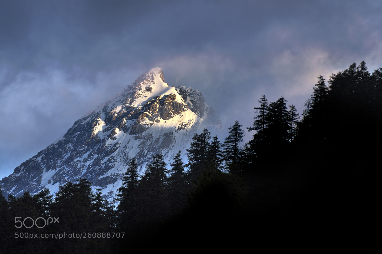 Nikon D300 sample photo. Morning light - albulapass photography