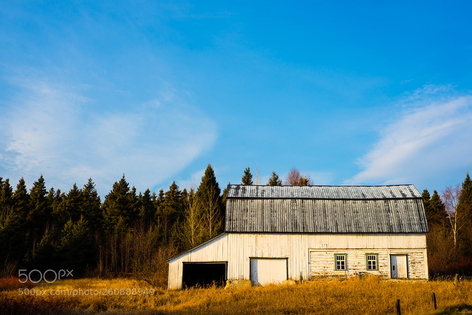 Nikon D600 sample photo. *** photography