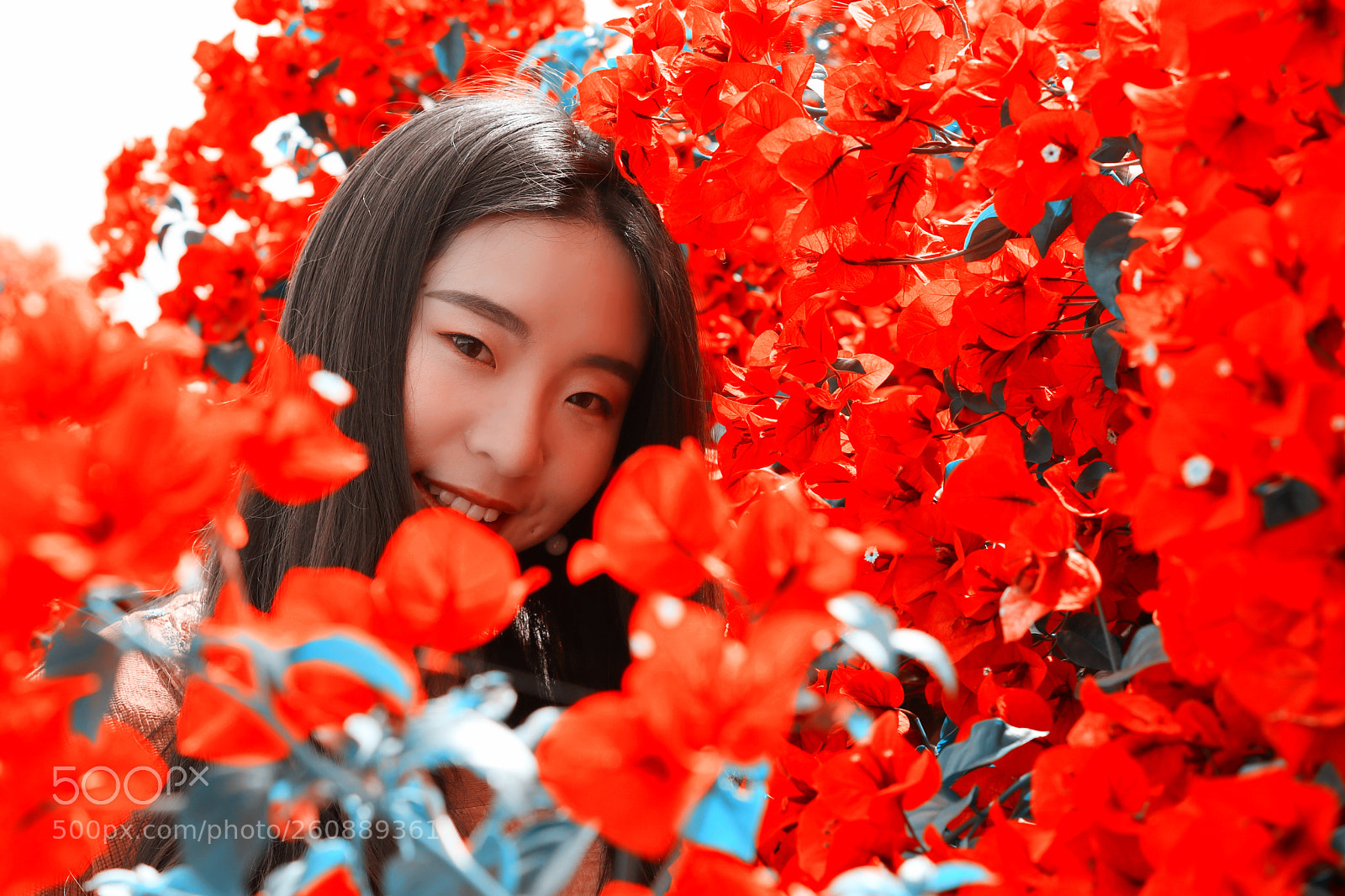 Canon EOS 80D sample photo. Summer photography