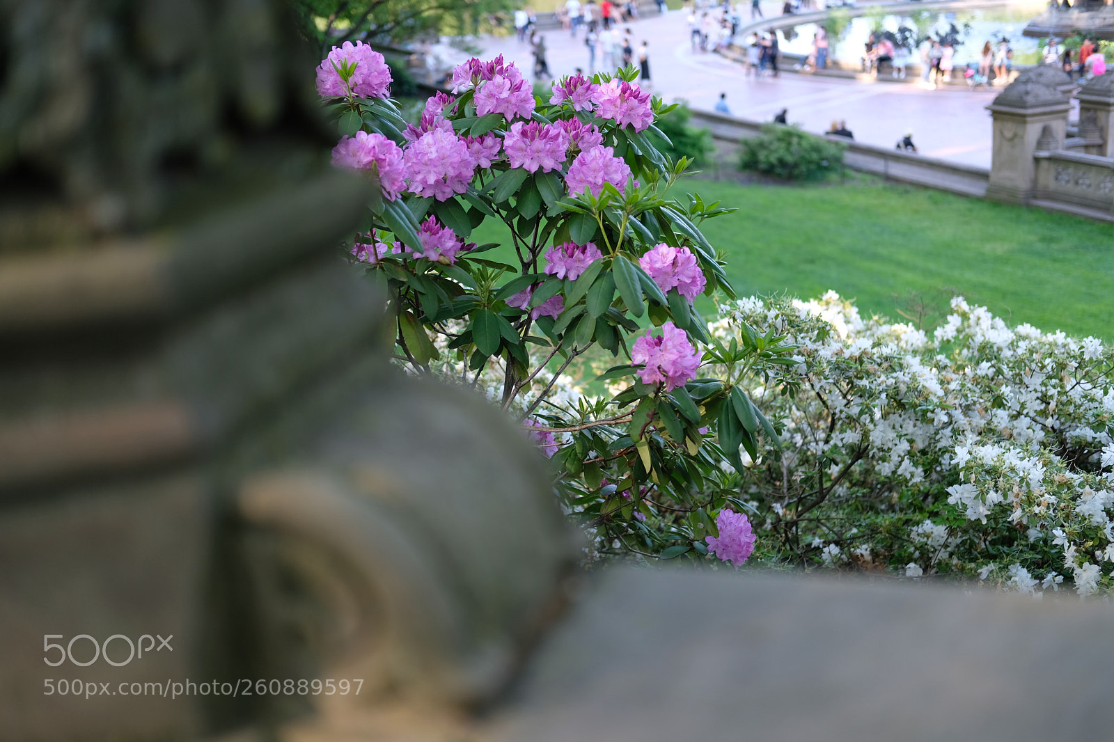 Fujifilm X-T2 sample photo. Bethseda terrace, ny photography